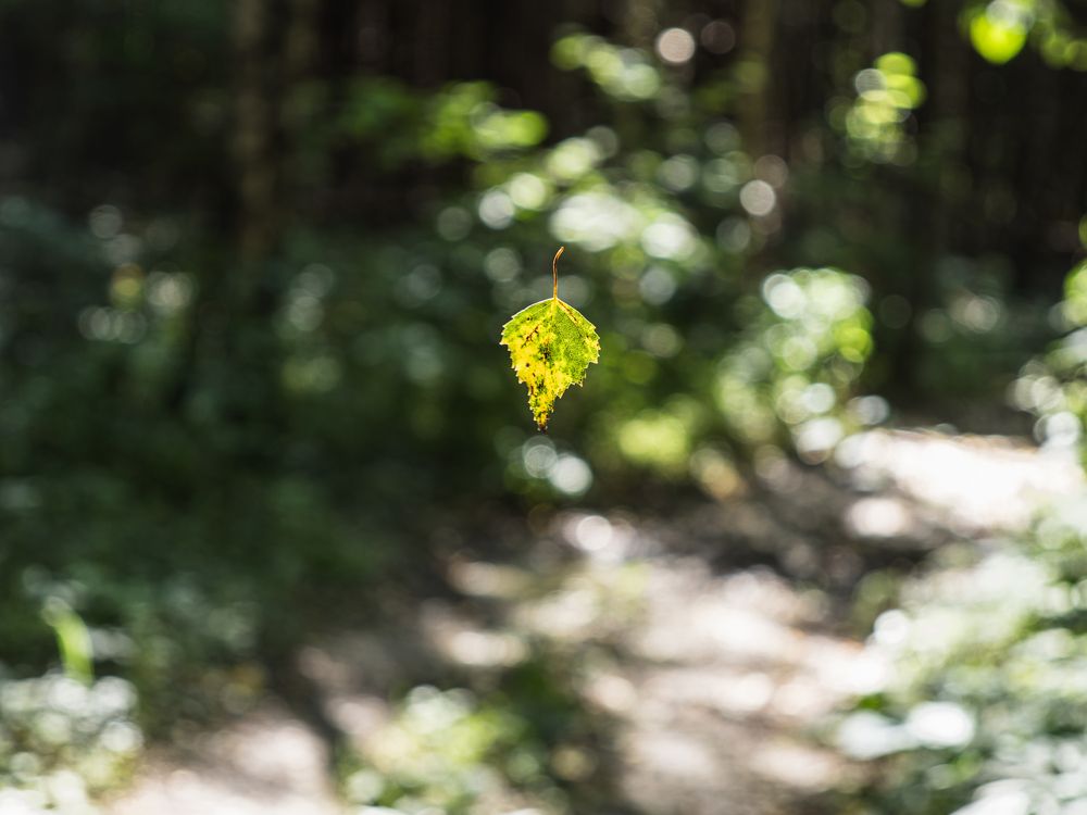 Фотография автора Татаринов Валерий