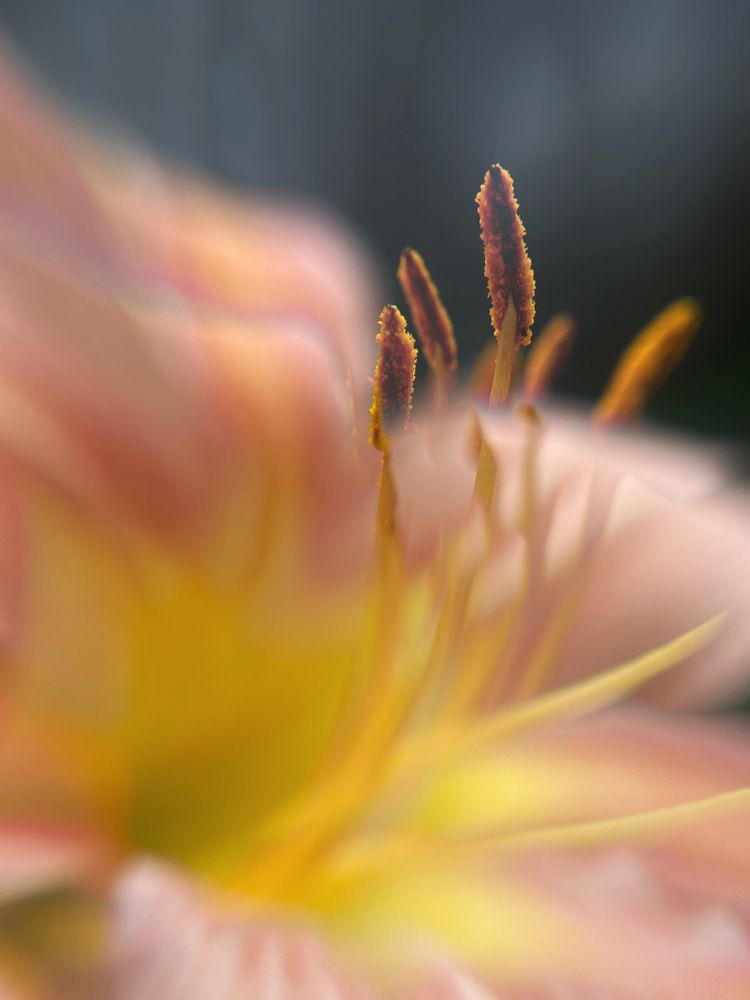 Photograph by Оксана Корепанова