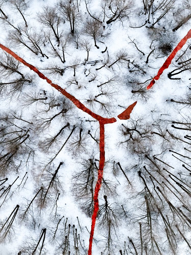 Photograph by Alina Yantsen