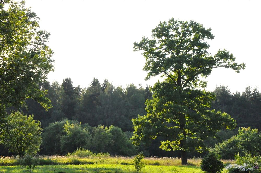 Photograph by Александра Пухкалова