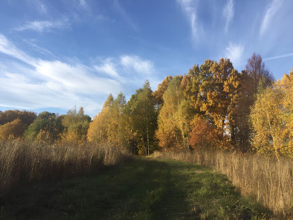 Photograph by Анастасия Бардыкина