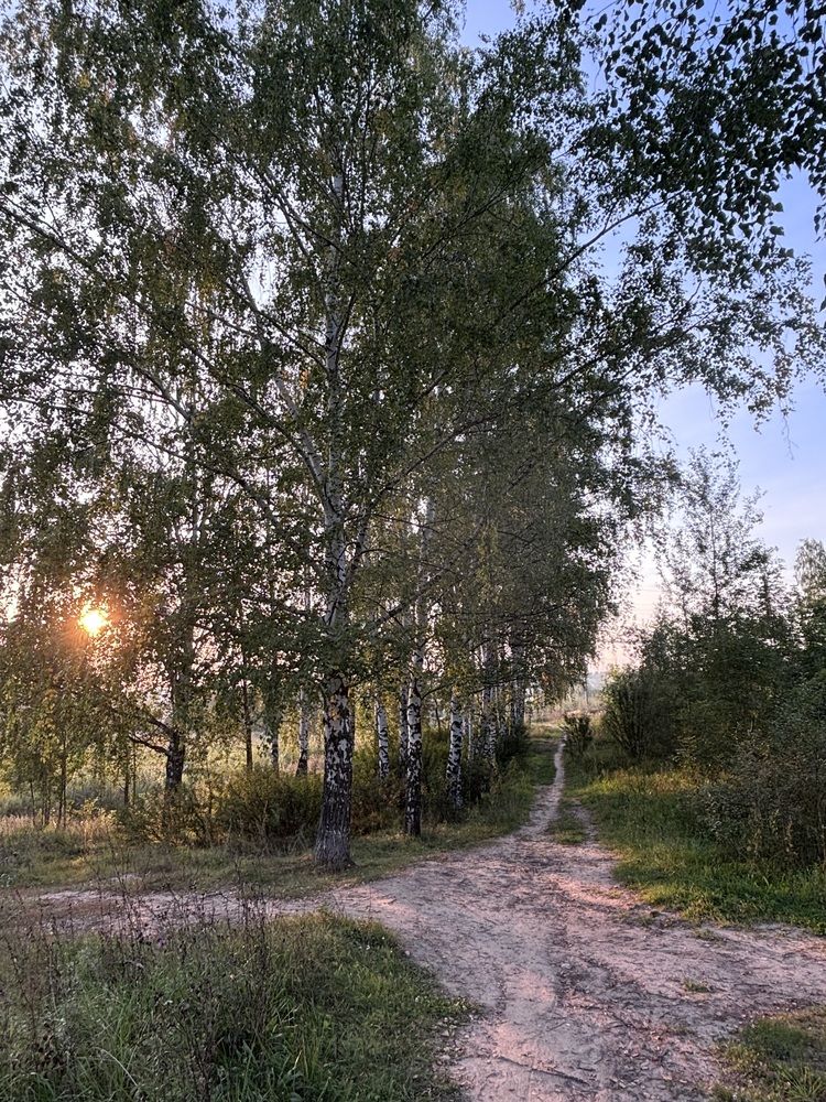 Photograph by Альбина Закирова