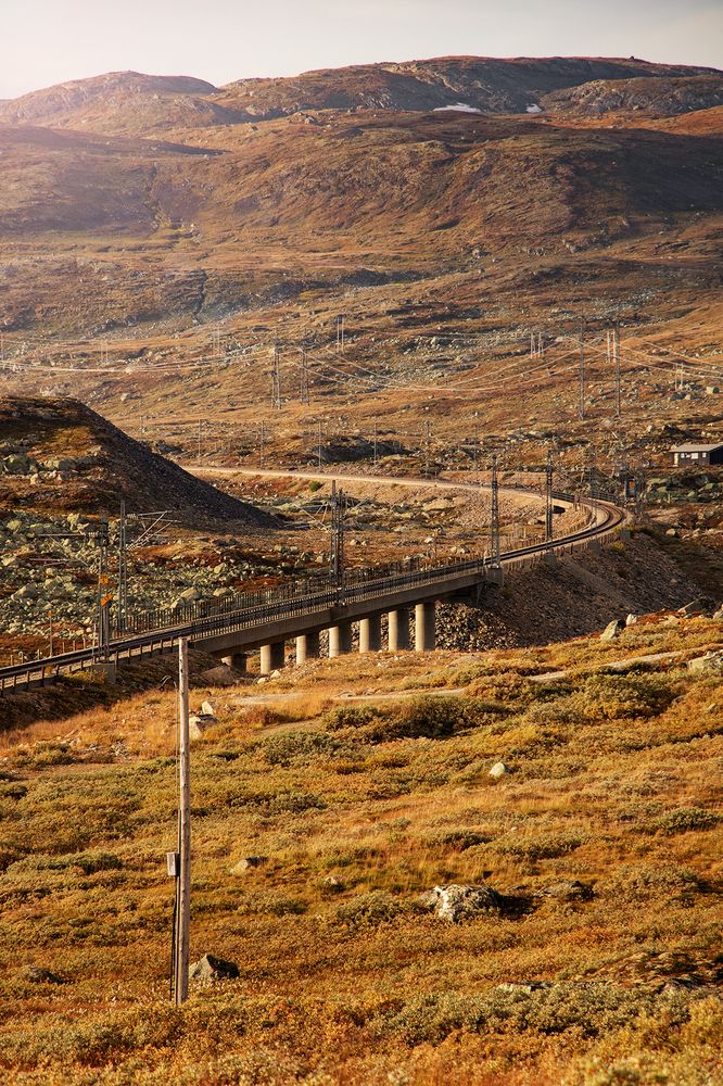 Photograph by Галина Васютенко