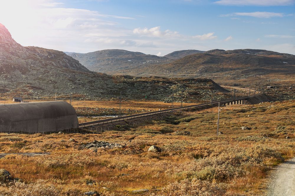 Photograph by Галина Васютенко