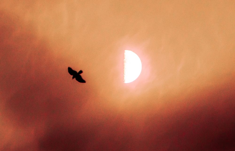 Photograph by Евгений Николаенков