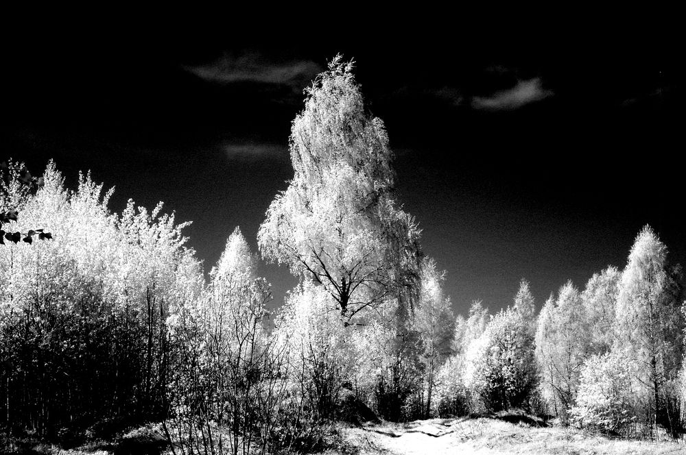 Photograph by Сергей Кузнецов
