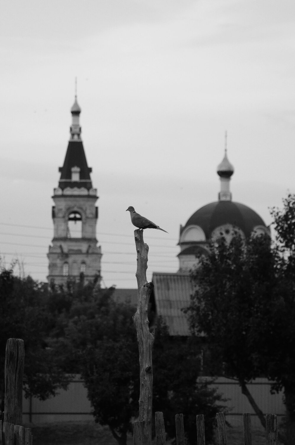 Умиротворение
