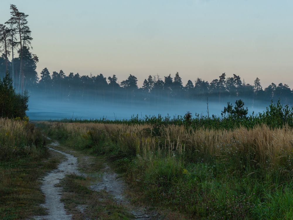 Фотография автора Татаринов Валерий