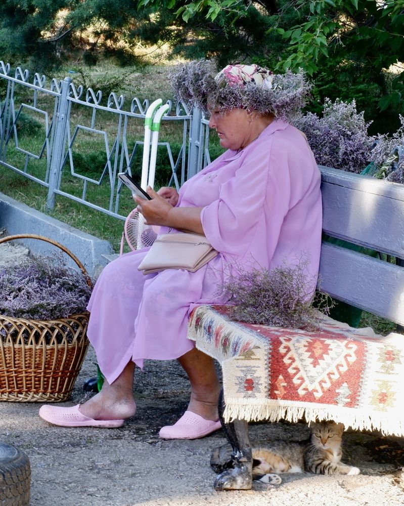 Лавандовая дама