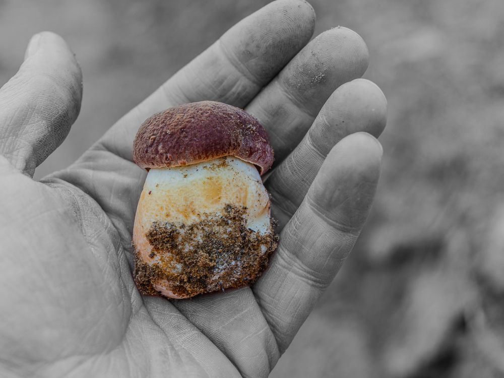 Фотография автора Татаринов Валерий