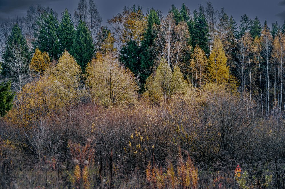 Photograph by Антон Гаврилов