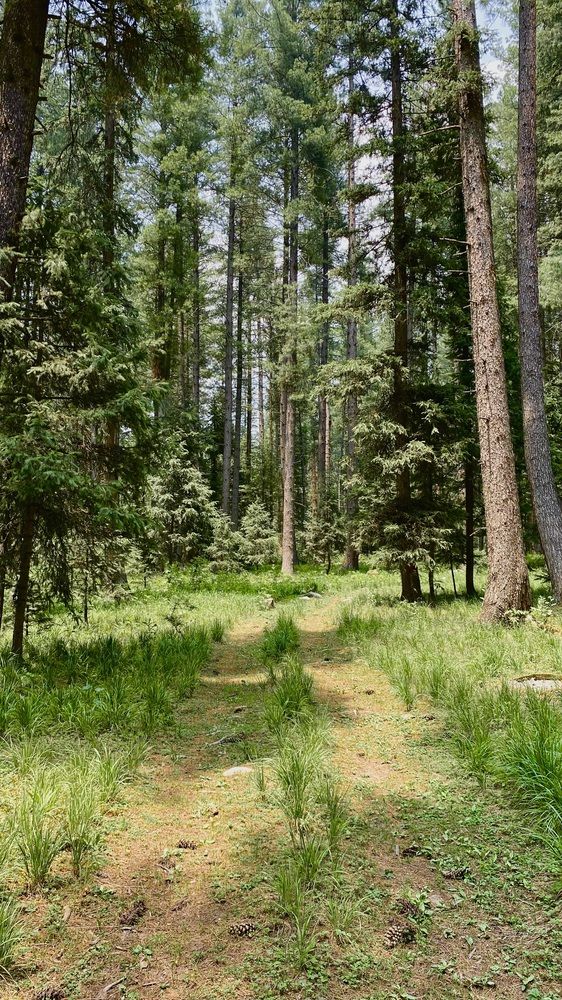 Photograph by Abdul Rehman Mani