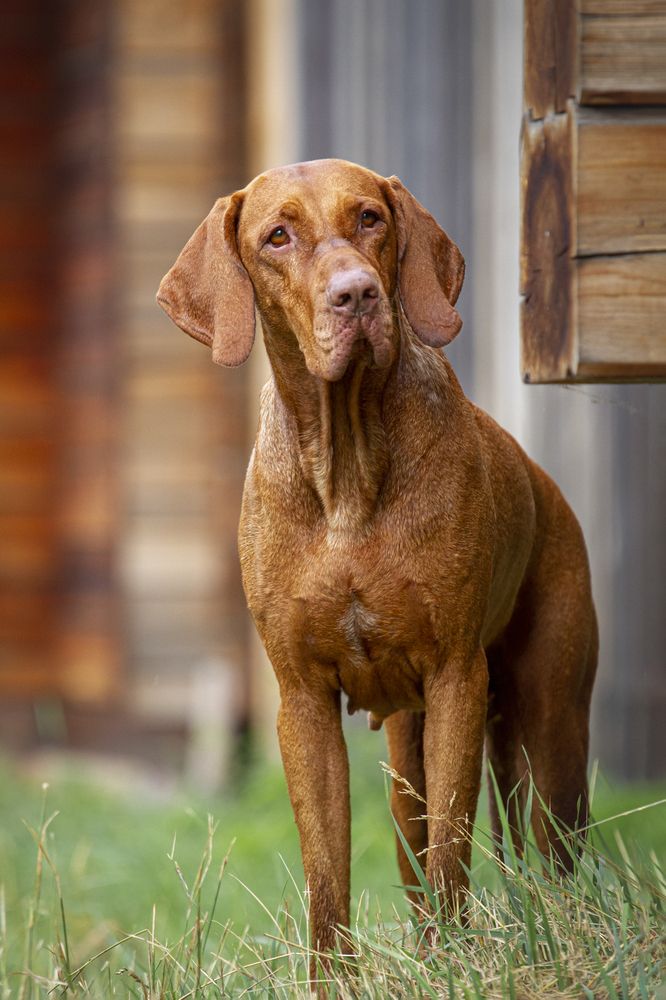 Photograph by Эльнара Исаева