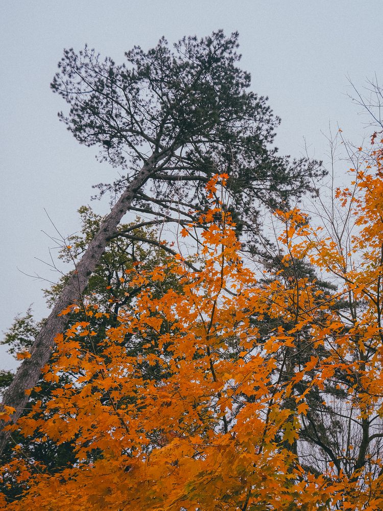 Фотография автора Voilmy Elliot