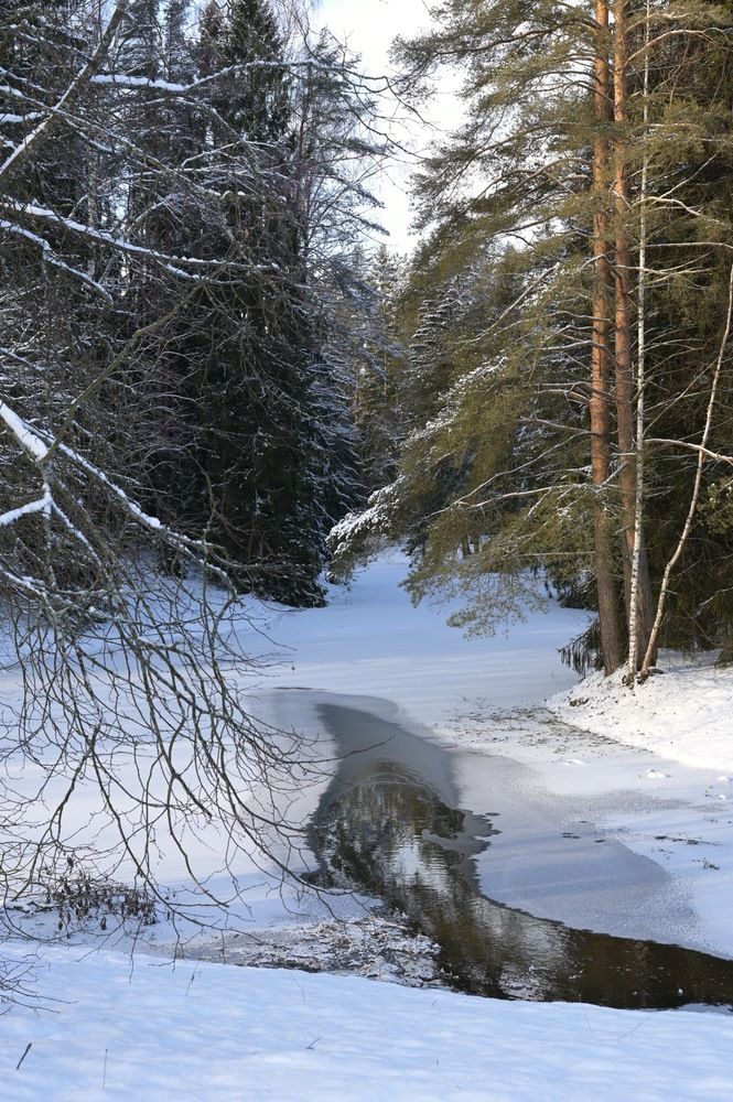 Photograph by Анна Зернова