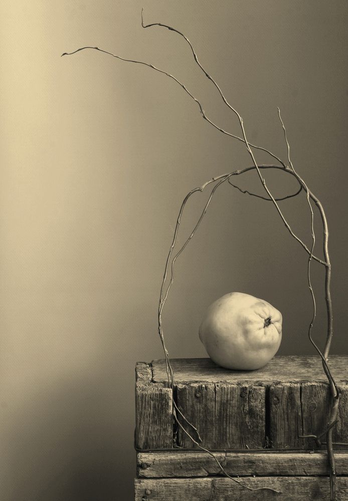 Photograph by Евсеева Валентина