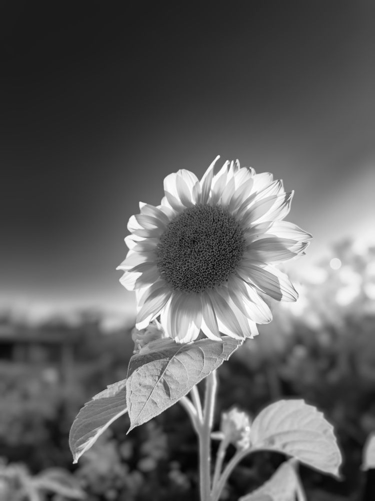 Фотография автора Владимир