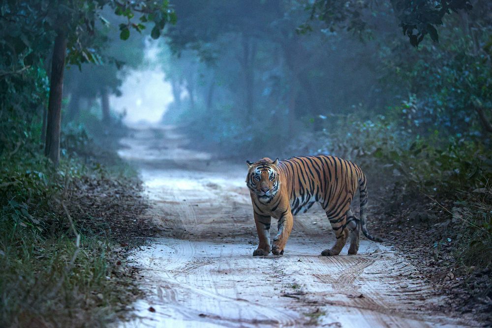 Photograph by RAVI S