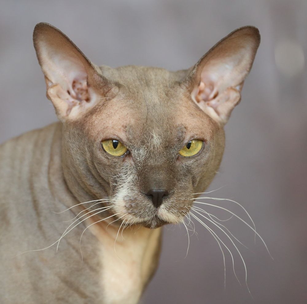 Photograph by Станислав Вершинин