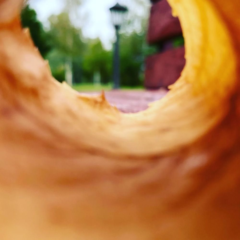 Наступила осень.