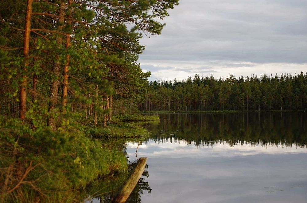 Photograph by Наталья Шумилова