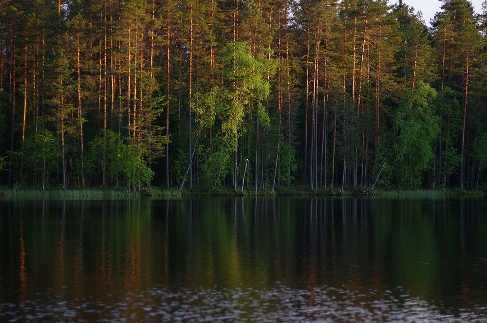 Photograph by Наталья Шумилова