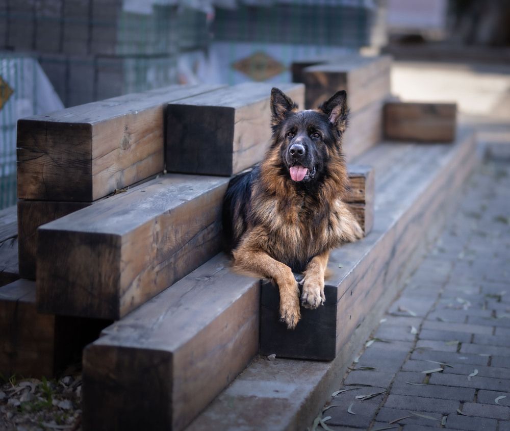 Photograph by Orna Salama