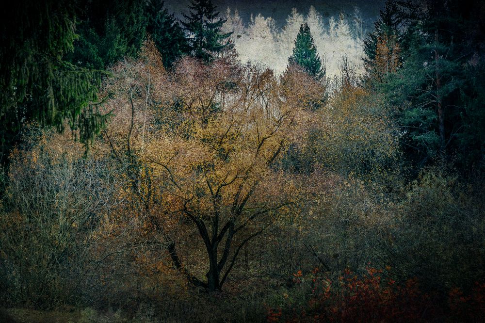 Photograph by Антон Гаврилов