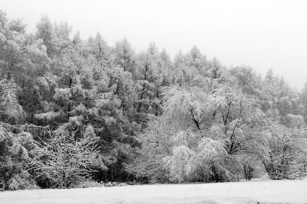 Photograph by Лариса Левченко