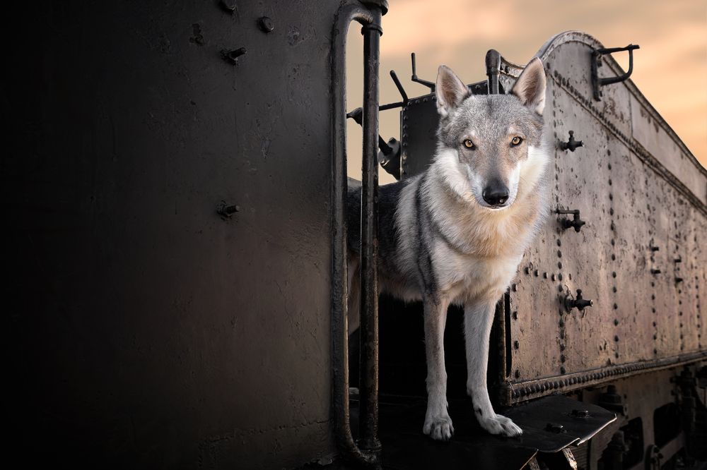 Photograph by Leticia Hernandez