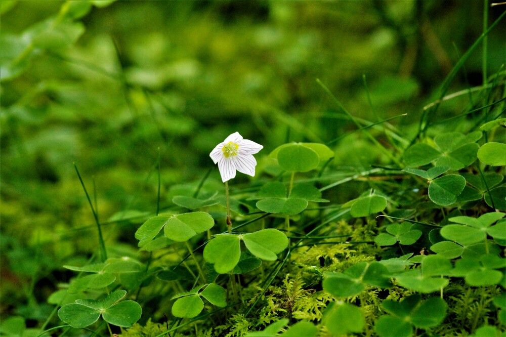 Photograph by Inese Firsova