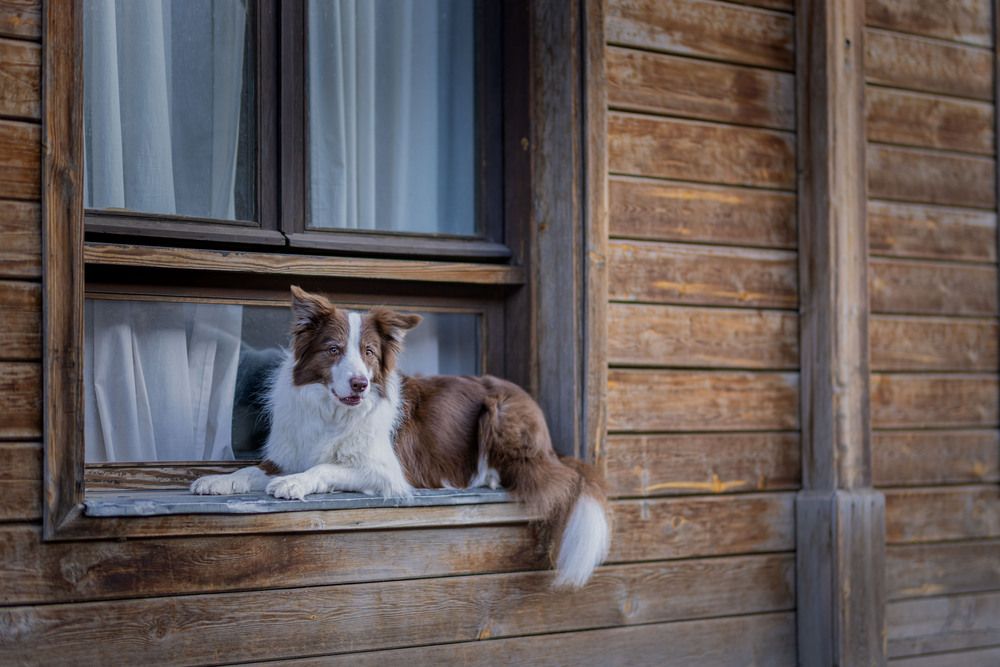 Photograph by Orna Salama