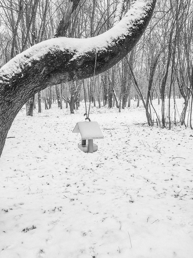 Photograph by Ольга