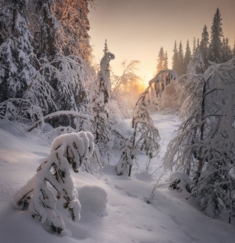 Провожая уходящий день