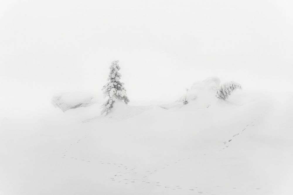 Photograph by Толстоноженко Илья