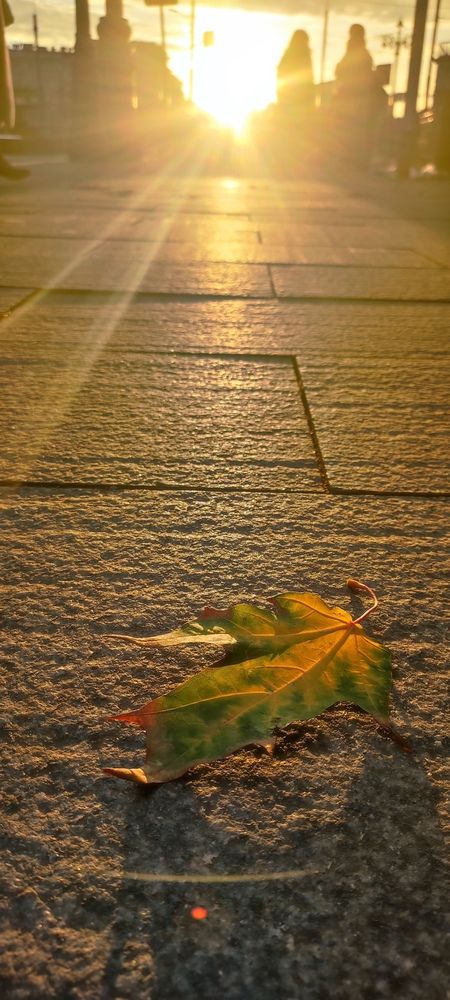 Photograph by Karine Galustova