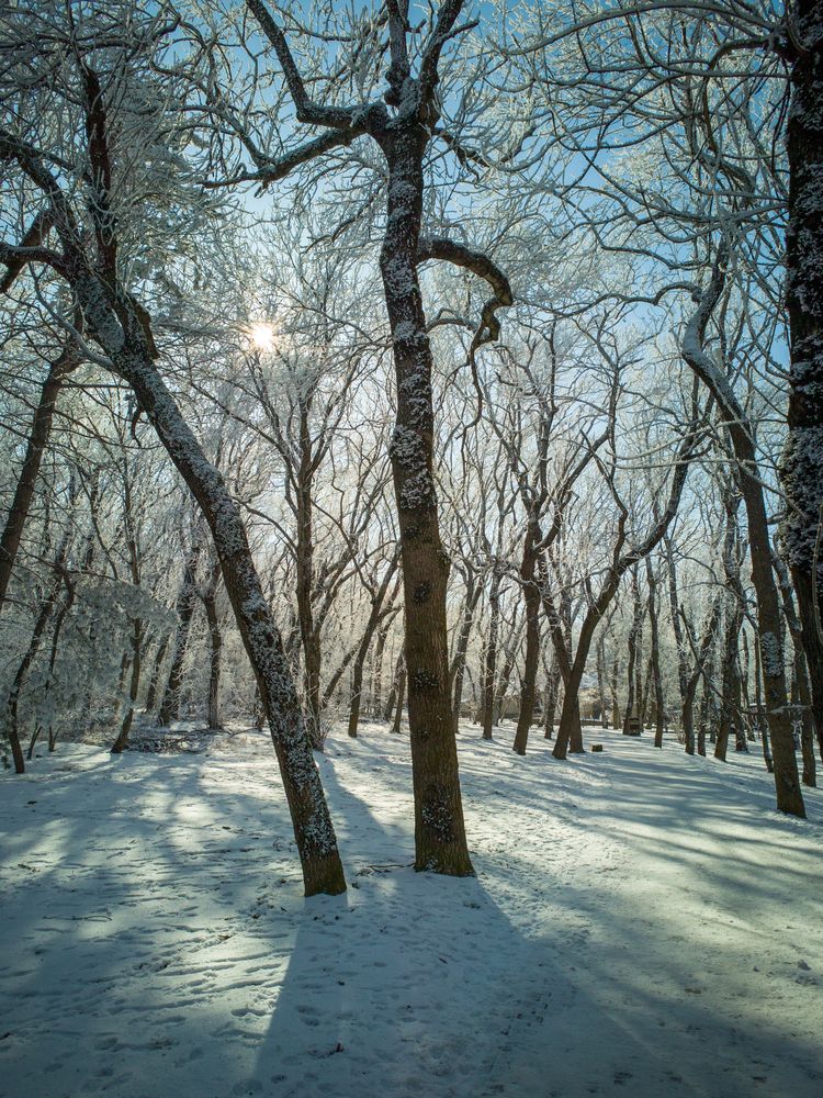 Photograph by Igor M.