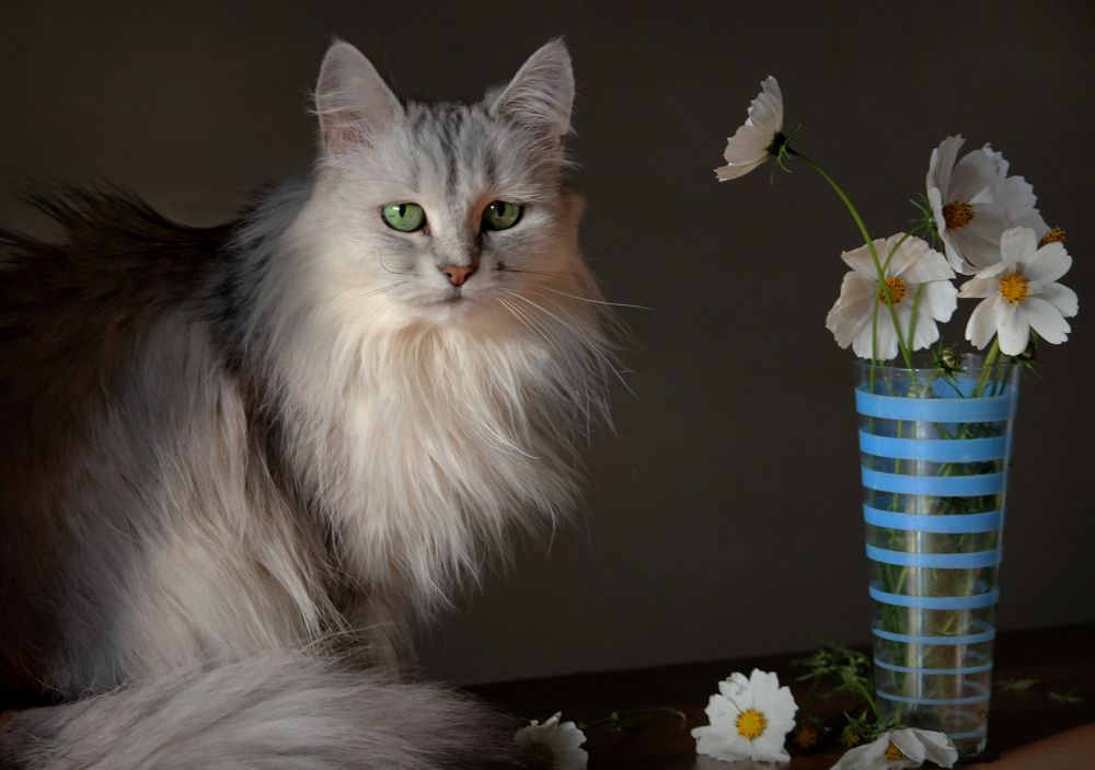 Photograph by Зоя Быкова