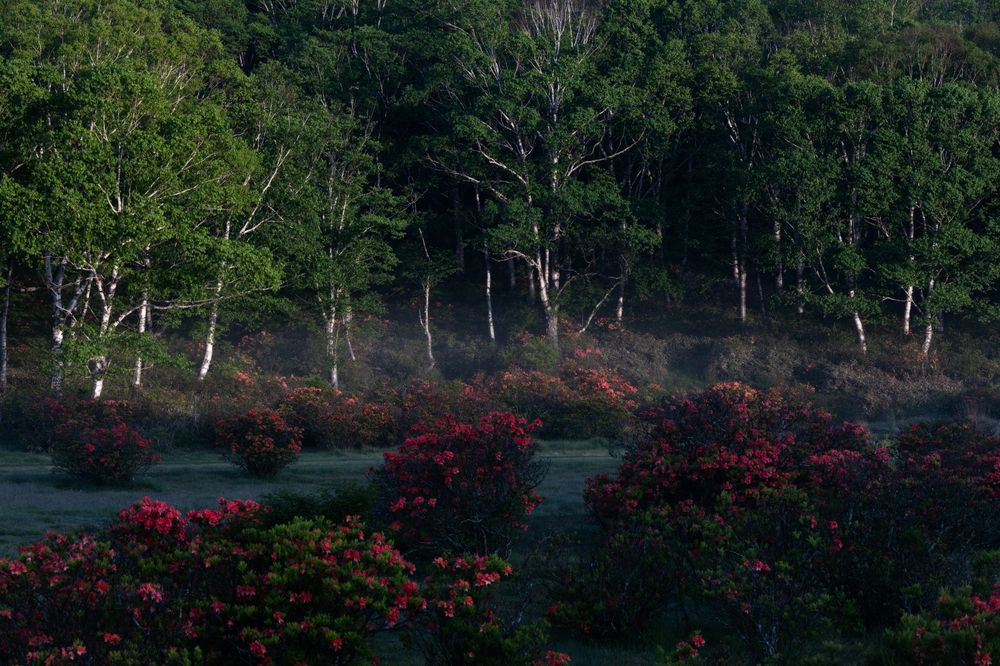 Photograph by 南雲 柊人