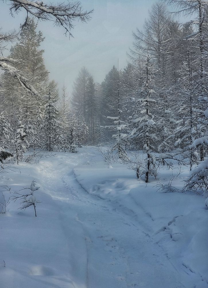 Photograph by Елена Иванова