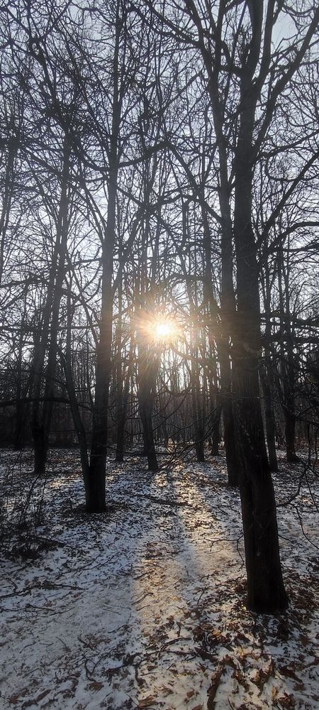 Photograph by Karine Galustova