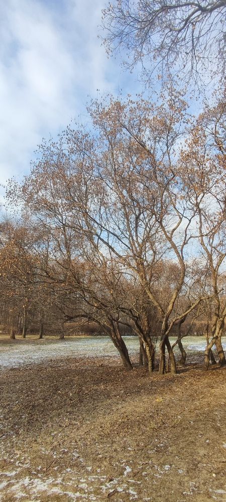 Photograph by Karine Galustova