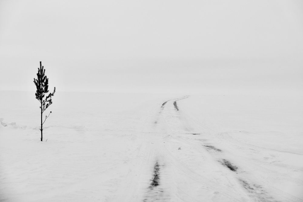 Christmas tree for orientation