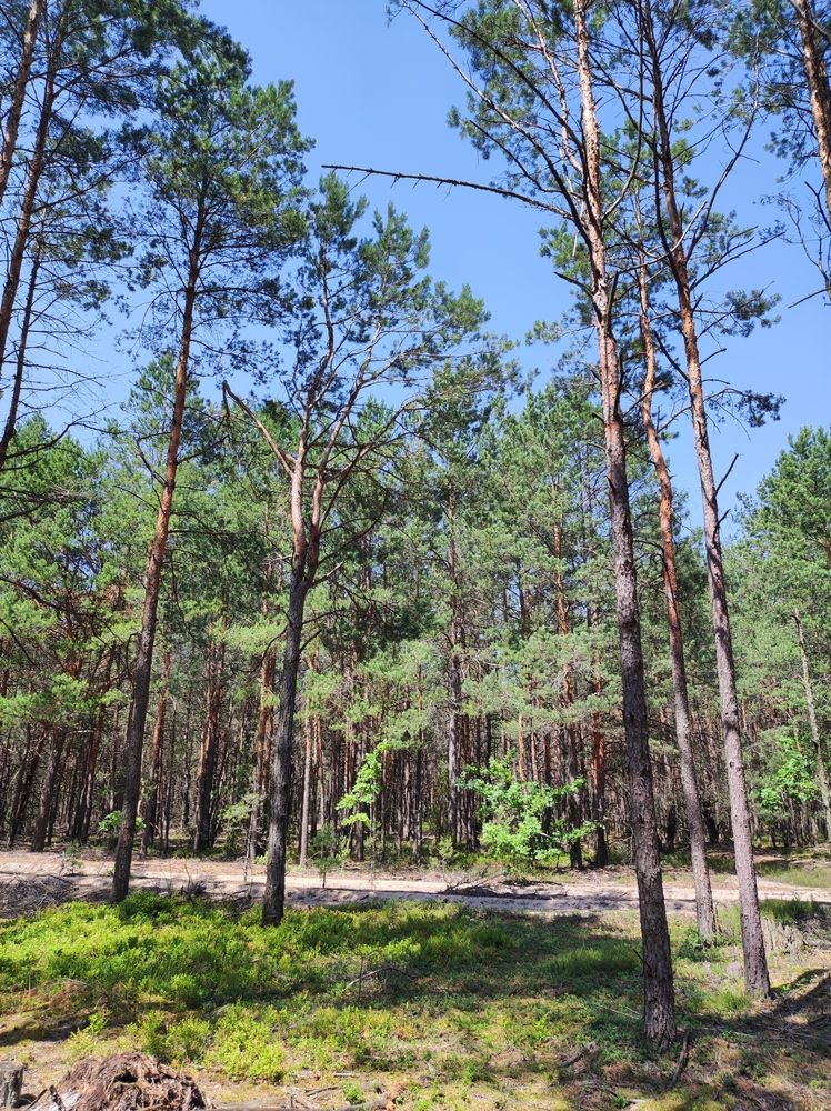 Photograph by Olga Dzemianiuk