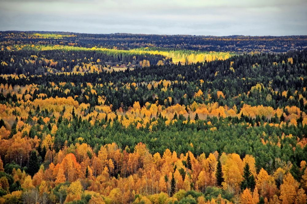 Photograph by Станислав Староверов