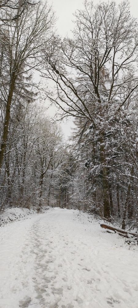 Photograph by Olga Dzemianiuk