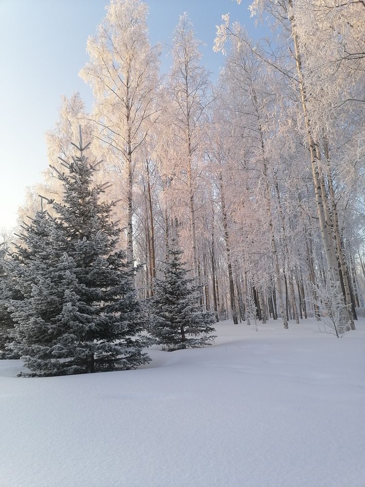 Photograph by Татьяна Бешенкина