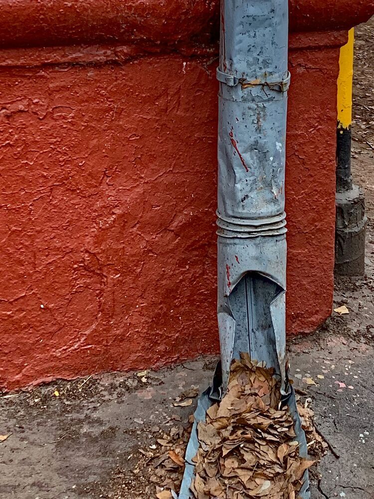 Photograph by Boeva Yuliya