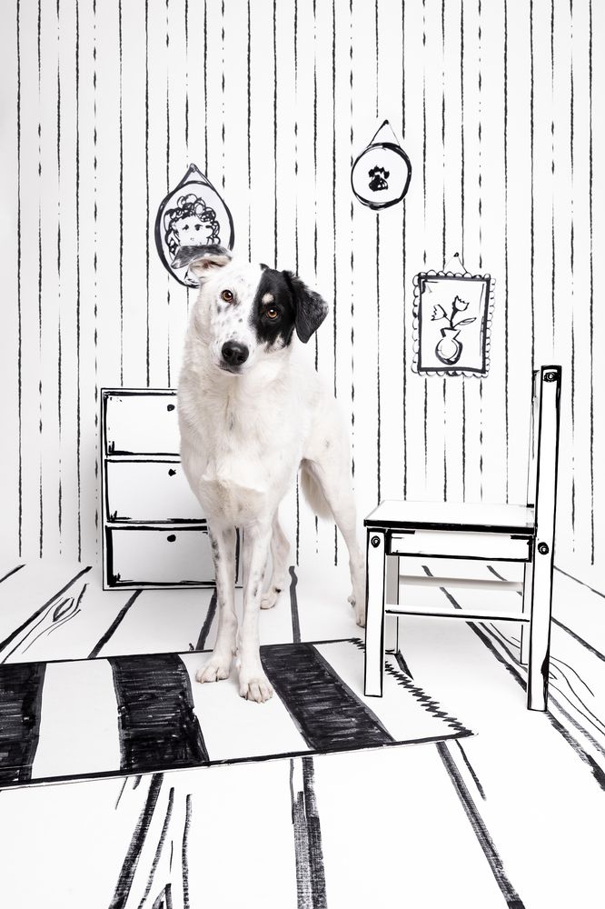 Photograph by Daniela Schnabel-Sahm