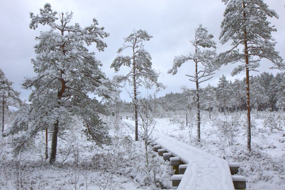 Photograph by irina volkova